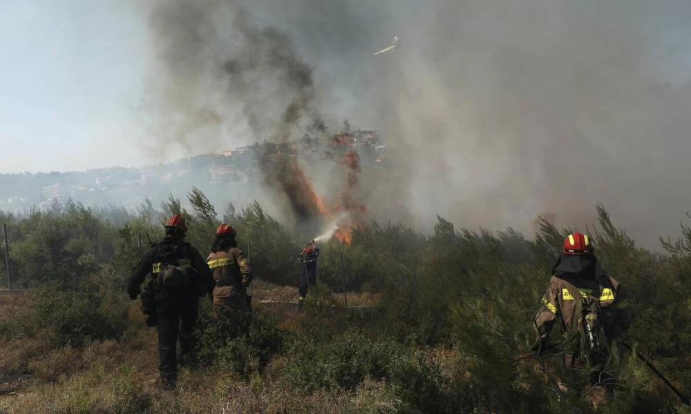 Λασίθι: Πυρκαγιά καίει δασική έκταση-Μεγάλη κινητοποίηση της πυροσβεστικής